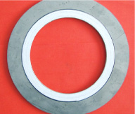 SWG (Spiral Wound Gasket)